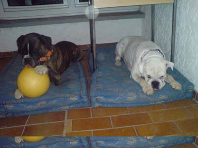 Bild043
