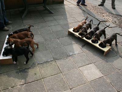 Bild047