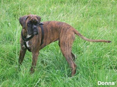 Bild064